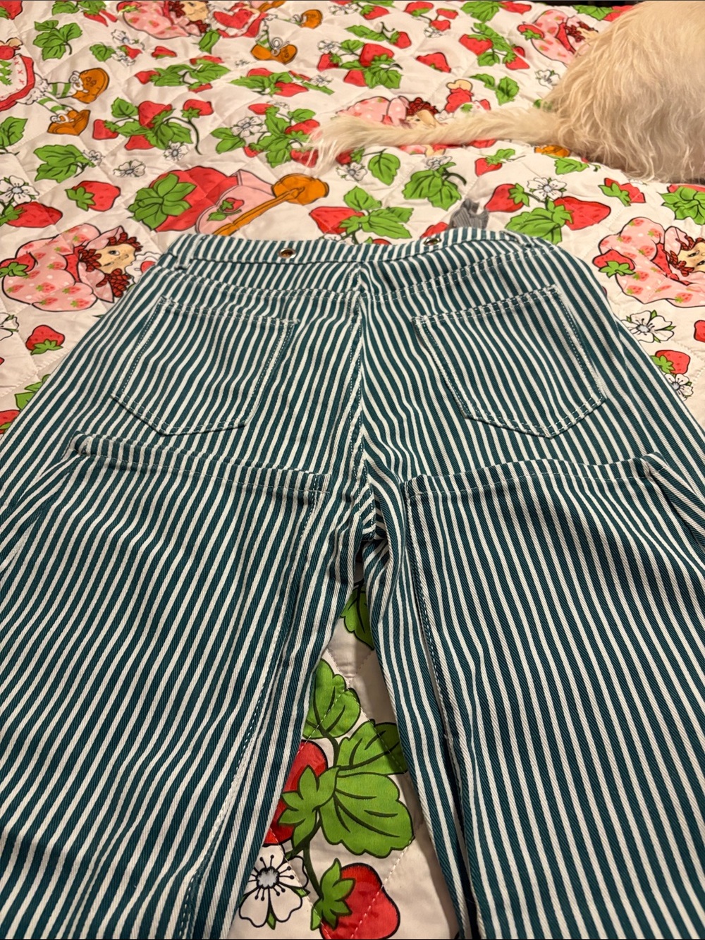Brand New Striped Green Utility Women’s Pants with Patch Pockets - Picture 3 of 4